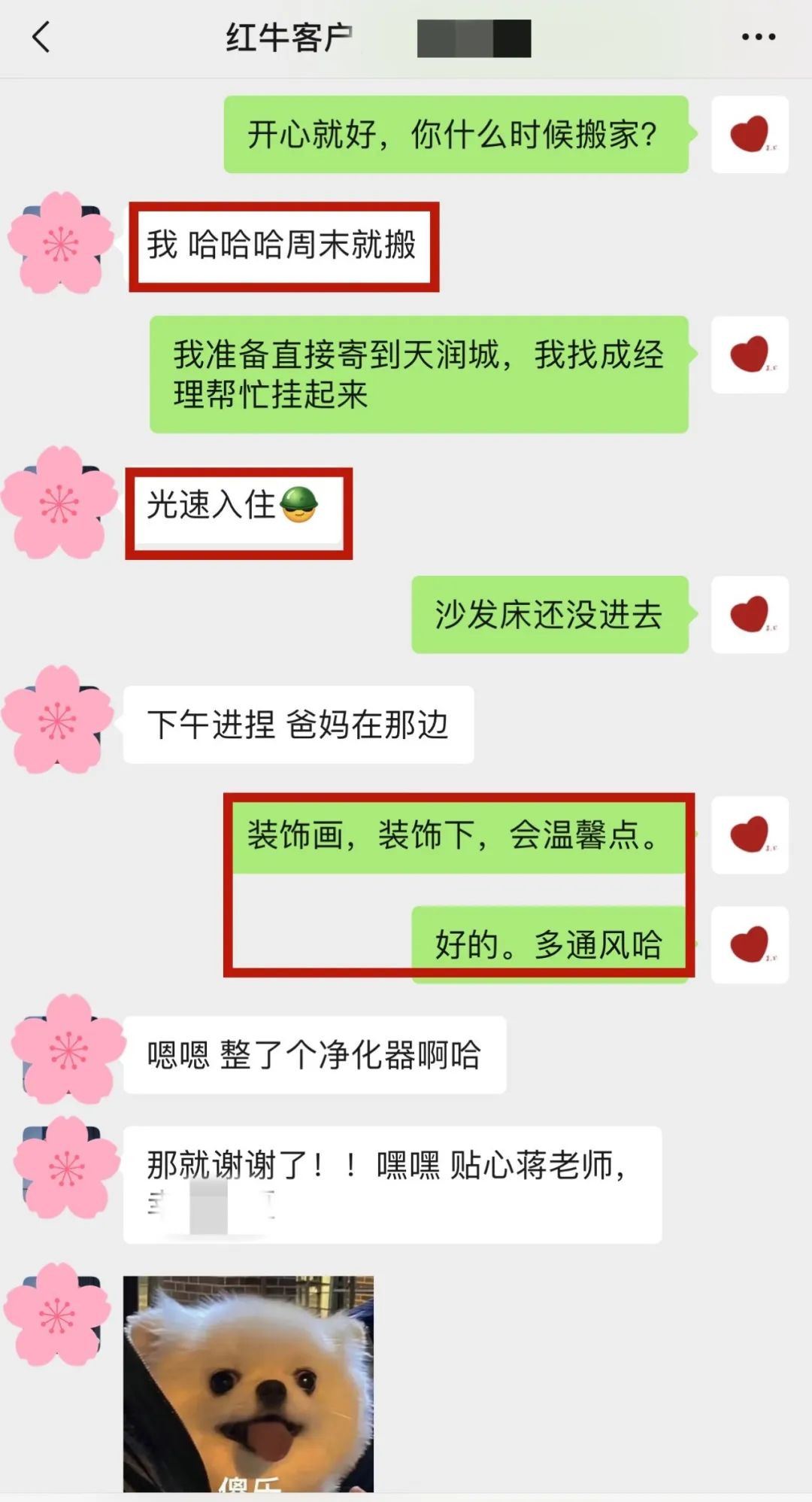 喜報(bào)｜金秋十月，收獲滿滿，紅牛裝飾再獲三面錦旗！05